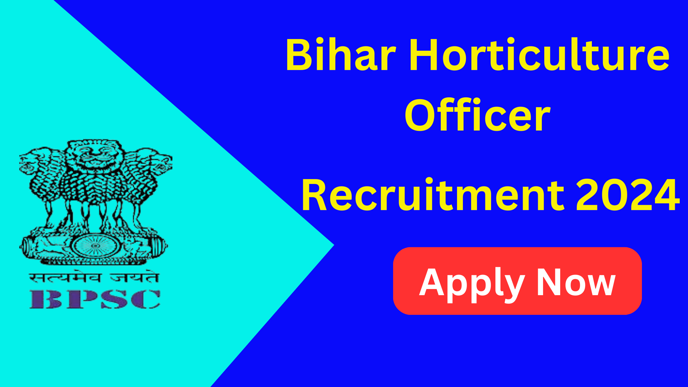 BPSC Block Horticulture Officer BHO Recruitment 2024